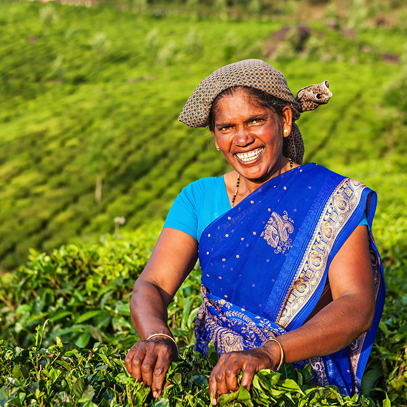 A smiling woman farming