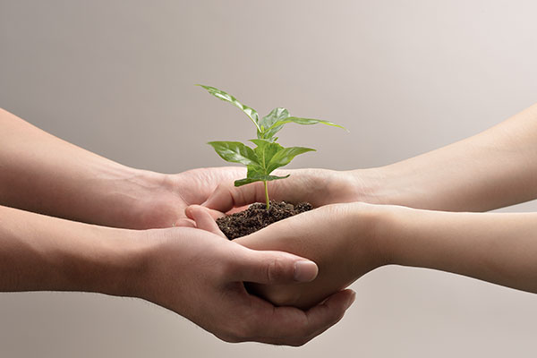 Two pairs of hands holding a plant growing from soil