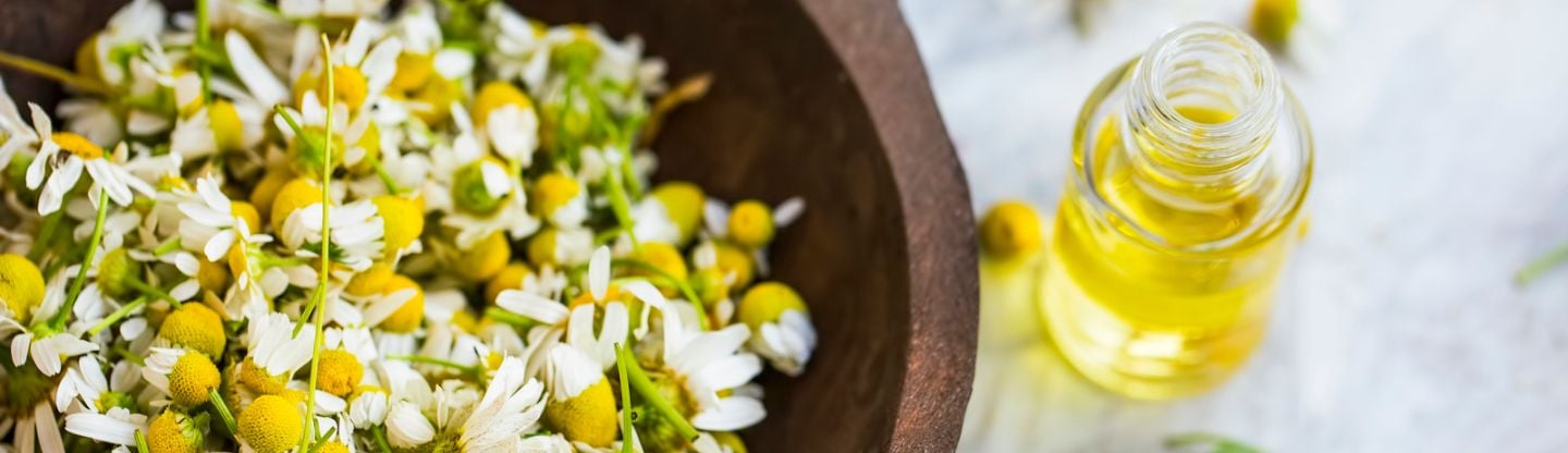 Bowl of chamomile flowers
