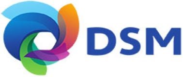 DSM logo image
