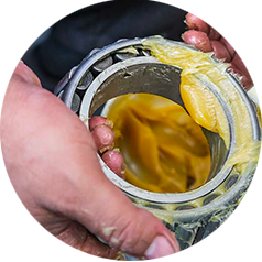 a hand holding ball bearings applies grease