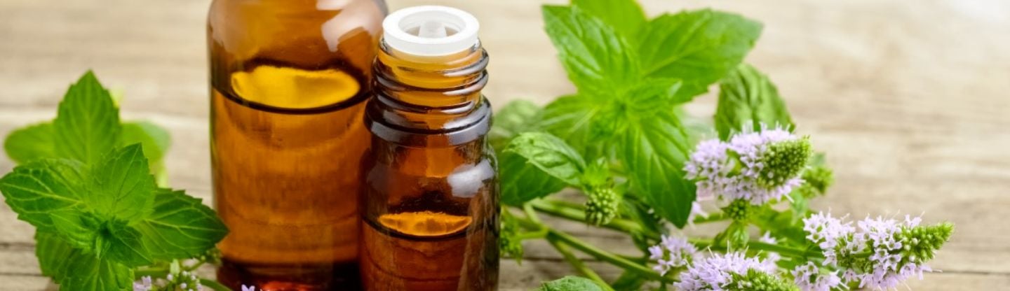 Jars of essential mint oils
