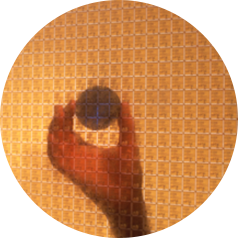 person holding a semiconductor plate