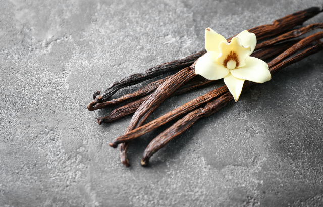 Vanilla bean plant with flower ontop as decoration
